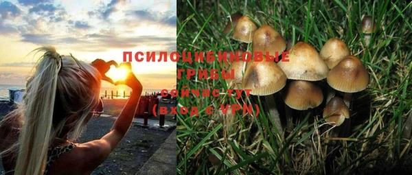 соль курить ск Алексин