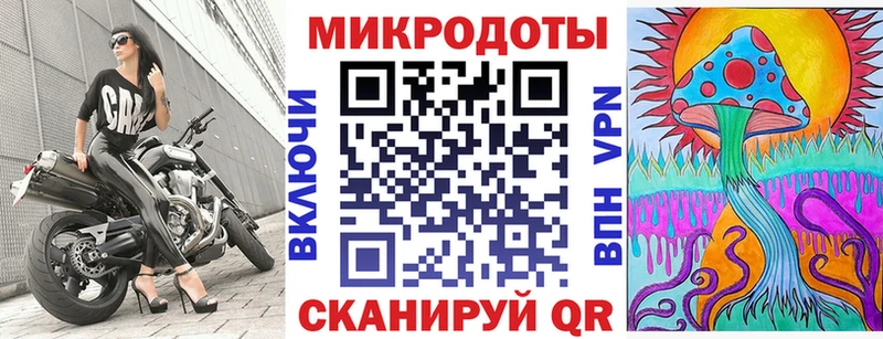 Псилоцибиновые грибы Psilocybine cubensis  Борзя 